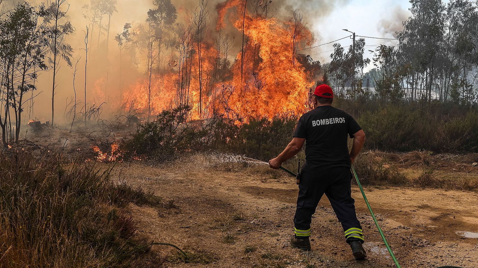 Varios muertos en los incendios forestales de Portugal - La tarde en 24h | Ver