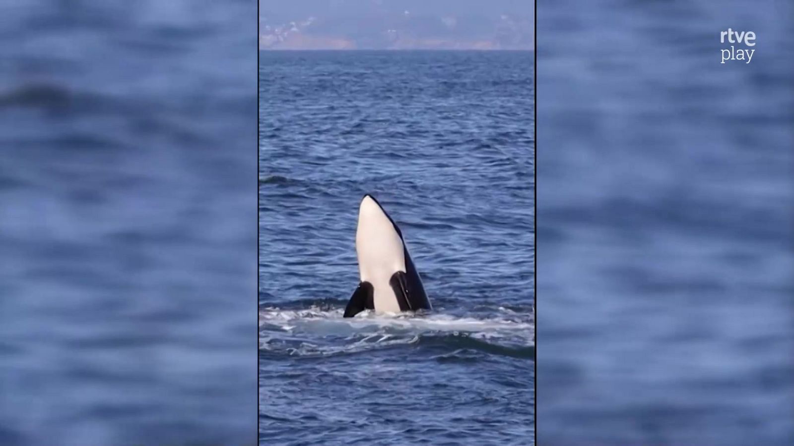 Aquí la Tierra - 16/09/24 - ver ahora