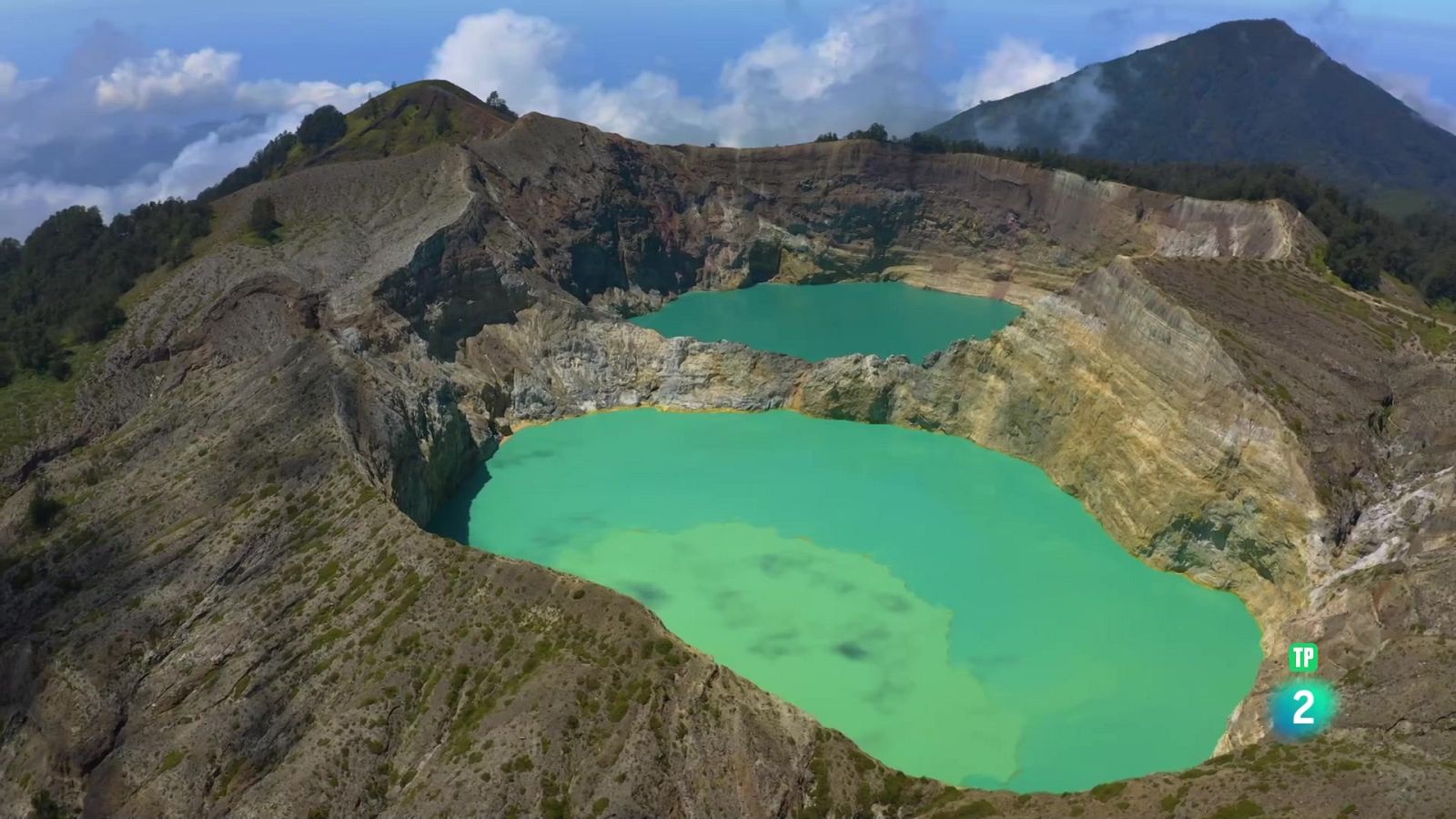 Grans Documentals - Blau endins | Flores i Mar de Banda - Veure ara