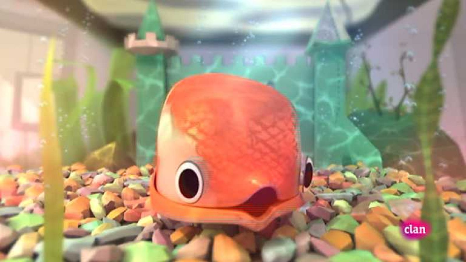 Pez de colores - Zoobabu | Ver