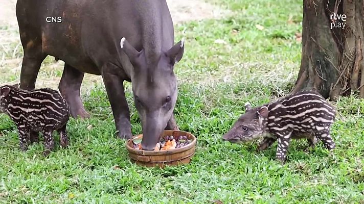 Aquí la Tierra - Aquí la Tierra - 17/09/24