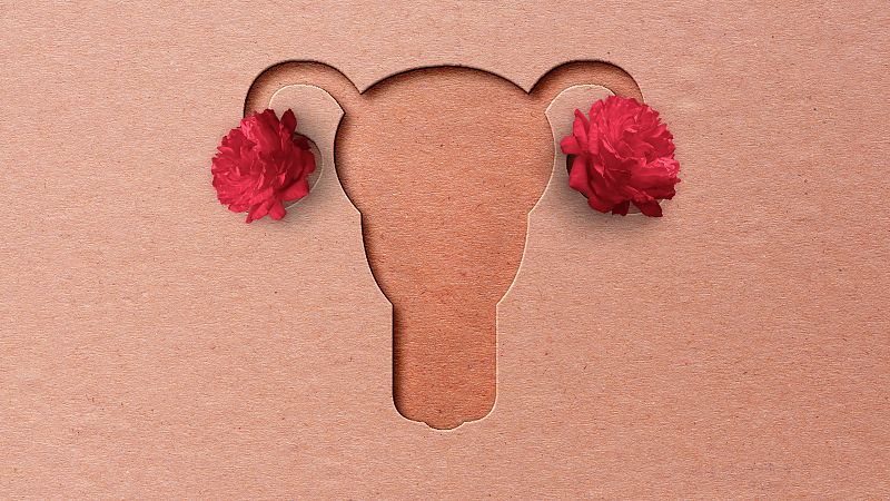Ciclo menstrual: cómo afrontar los cambios hormonales - Saber vivir | Ver