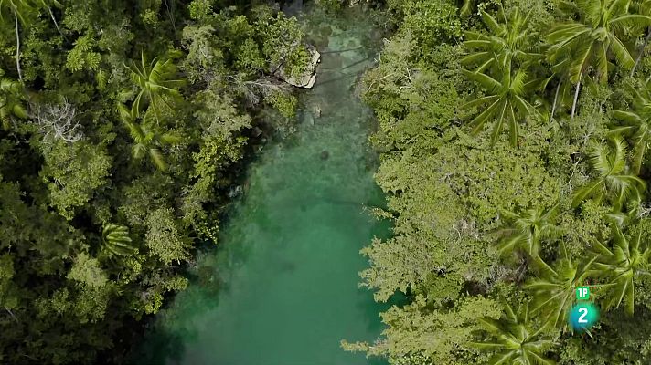 Som Documentals - Blau endins | La Badia de Tritó