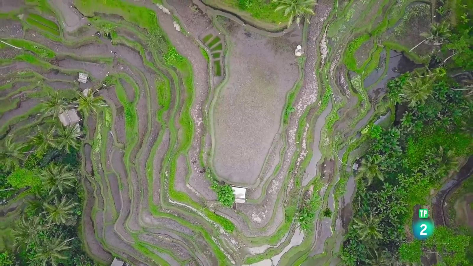 Grans Documentals - Blau endins | Bali - Veure ara