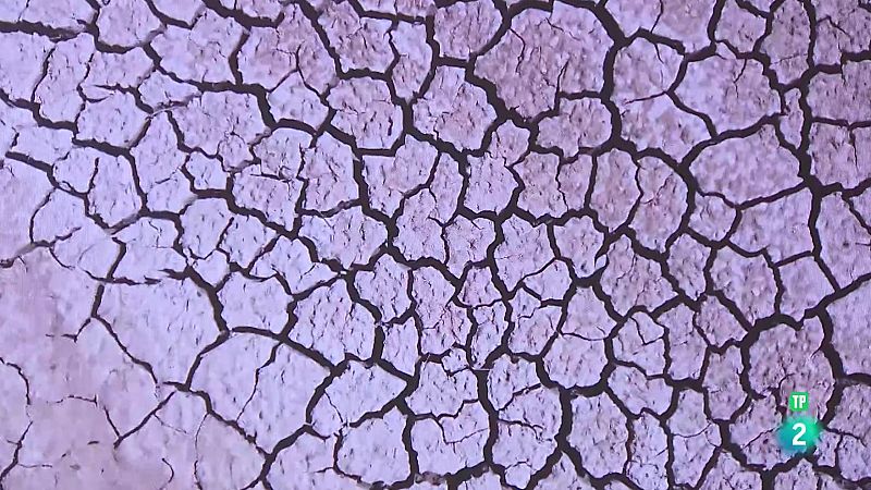 Rafael Seiz de WWF. La sequía y la gestión del agua | Ver