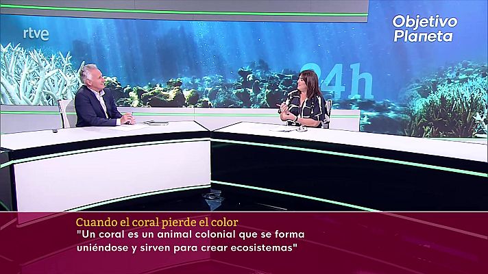 Objetivo Planeta - Objetivo Planeta - Deterioro y muerte de los corales