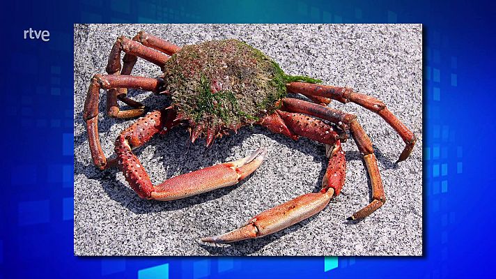 Saber y ganar - Saber y ganar - 20/09/24