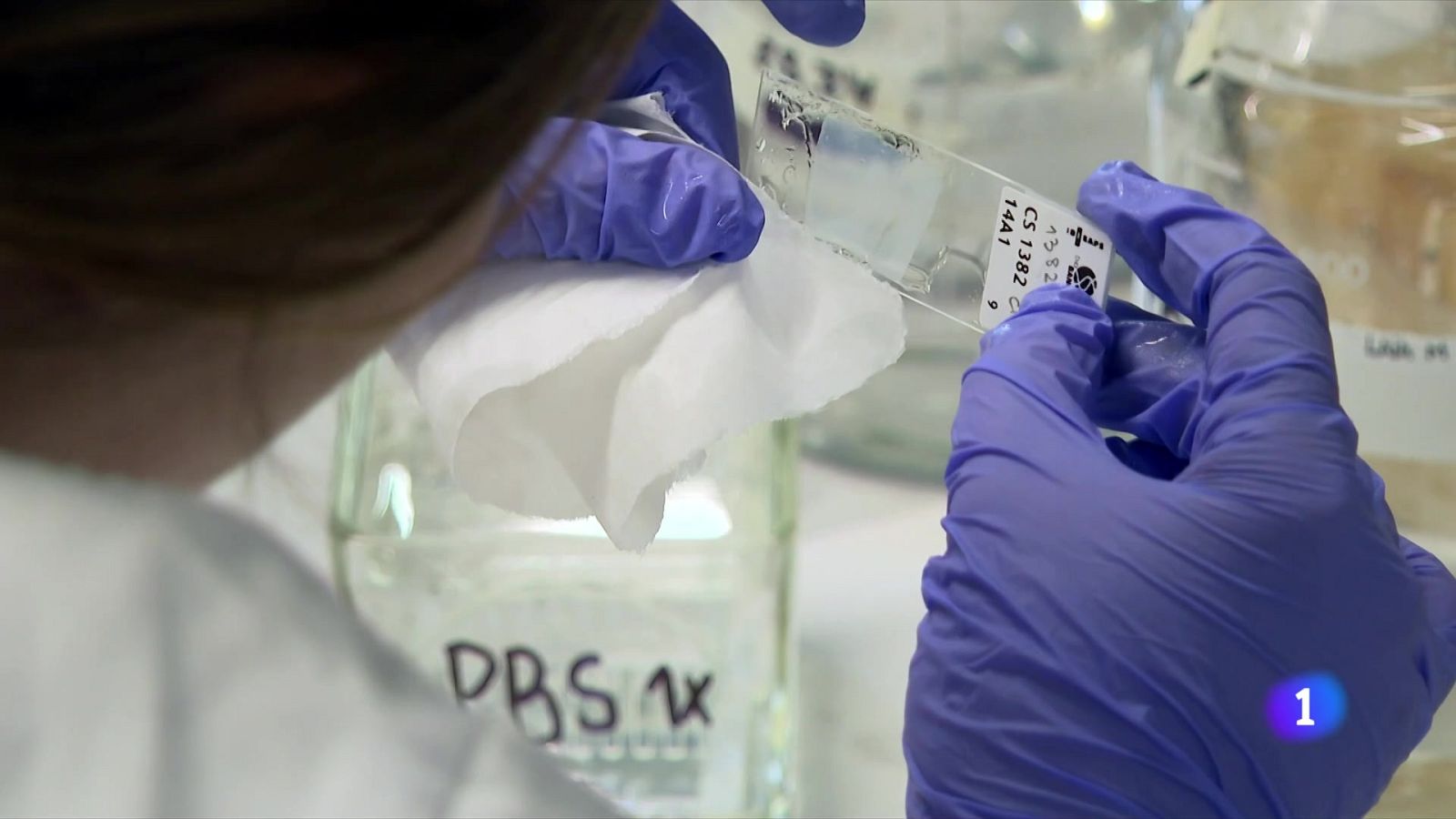 En el Dia Mundial de l'Alzheimer es reclama més suport per als malalts - L'Informatiu | Veure