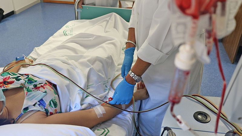 Se buscan donantes de médula ósea | Ver