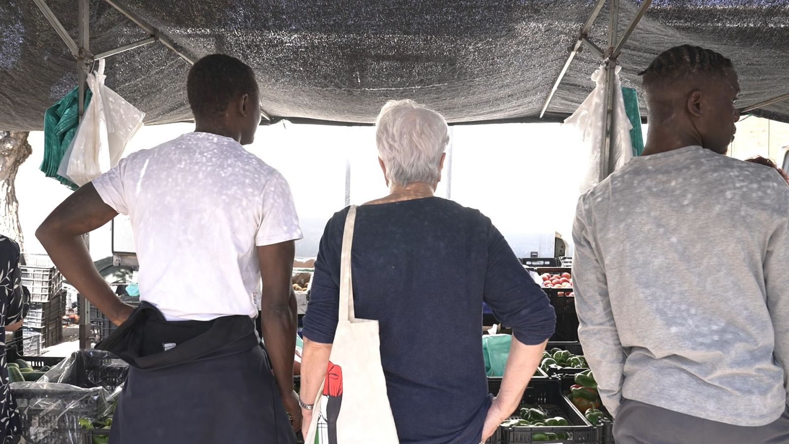 Informe Semanal - 21/09/24 - Lengua de signos - ver ahora