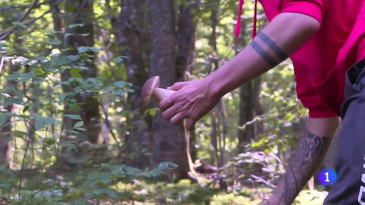 L'Informatiu - Els Bombers demanen prudència als boletaires