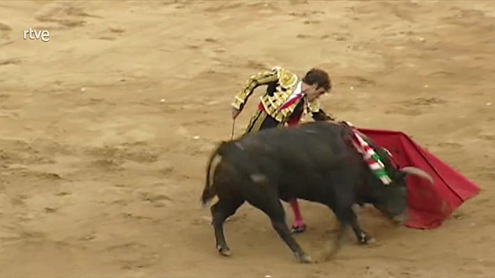 Parlamento - ILP Antitaurinos