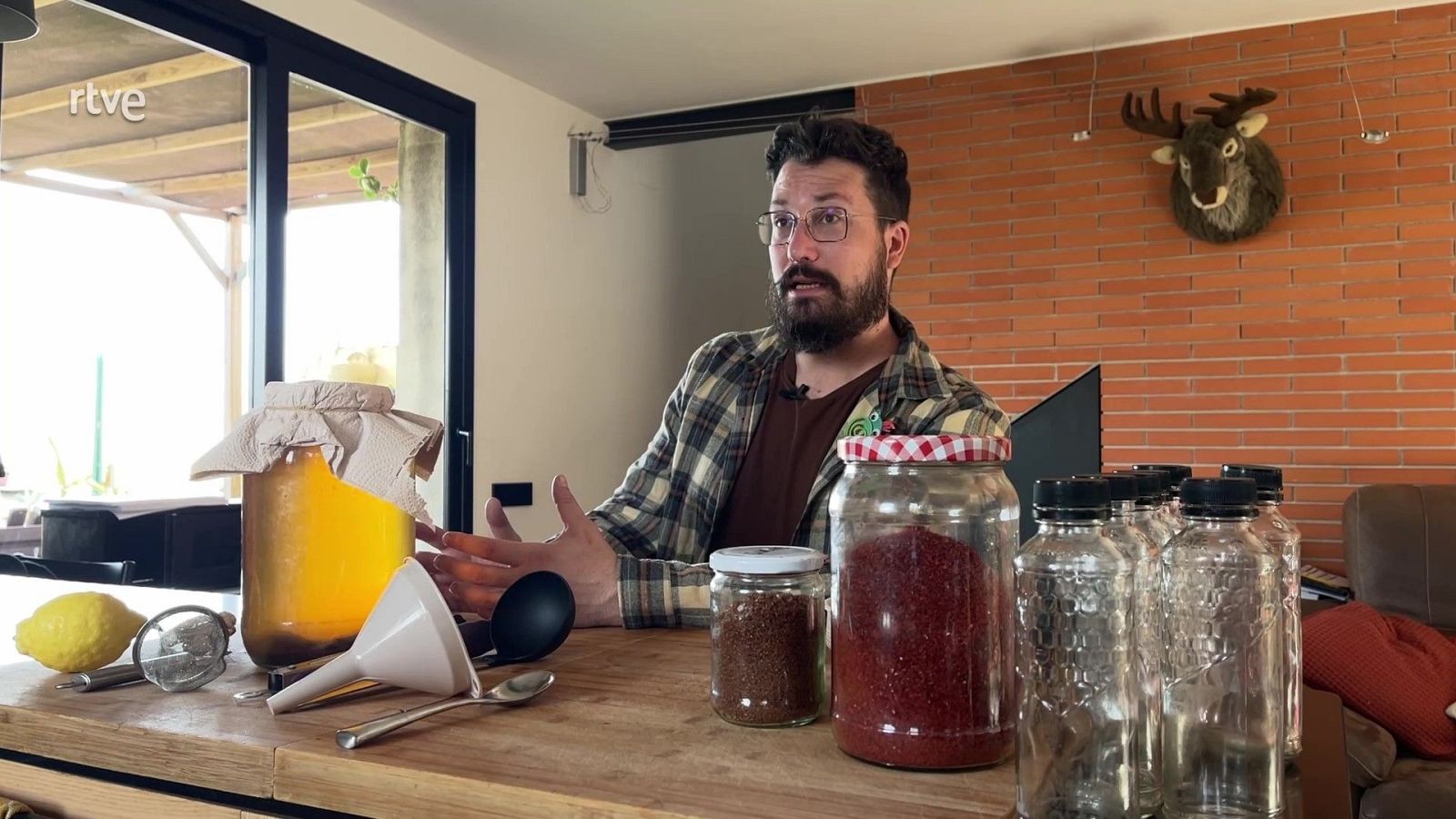 Kombutxa - Va de Verd | RTVE Catalunya - Va de verd | Veure