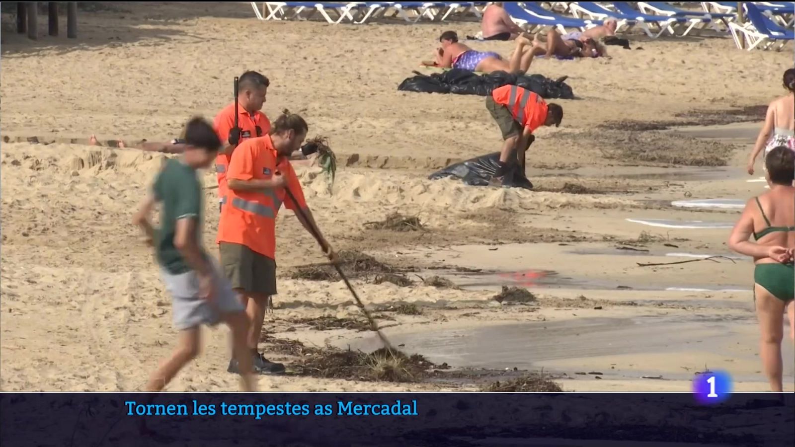 Informatiu Balear 1 - 23/09/24 Veure ara