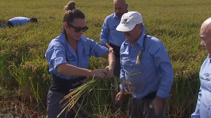L'Informatiu de la Comunitat Valenciana 1 - 23/09/24 | Ver