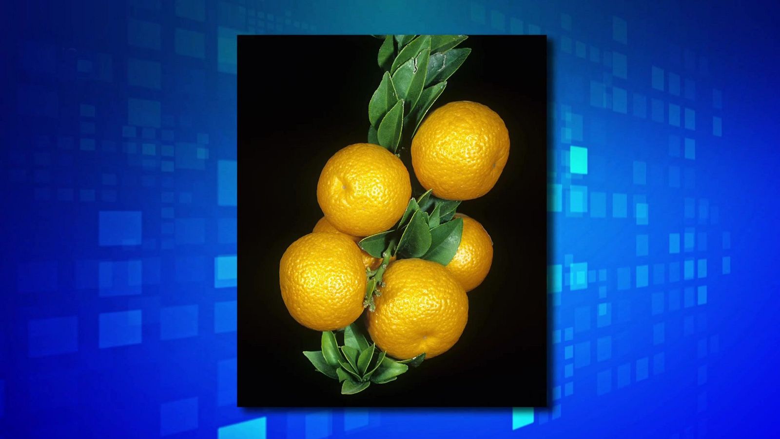 Saber y ganar - 23/09/24 - ver ahora