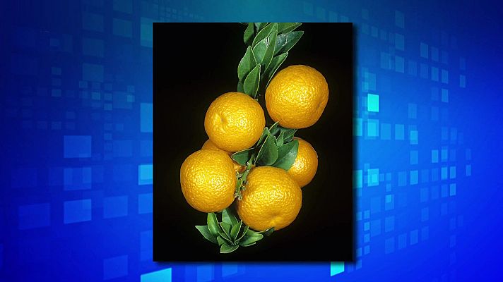 Saber y ganar - Saber y ganar - 23/09/24