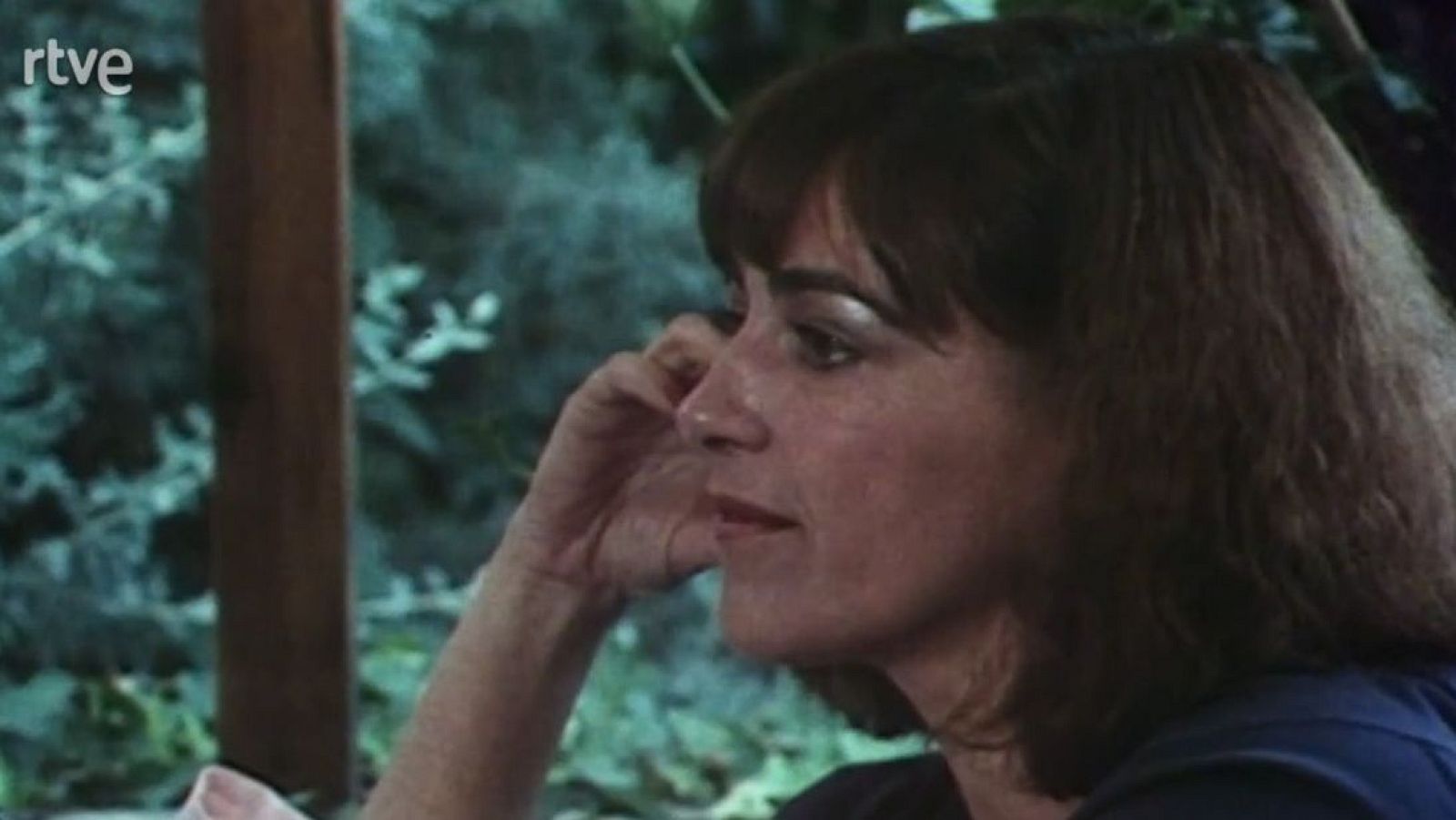 De película - Festival de Cine de Barcelona - De película | Ver