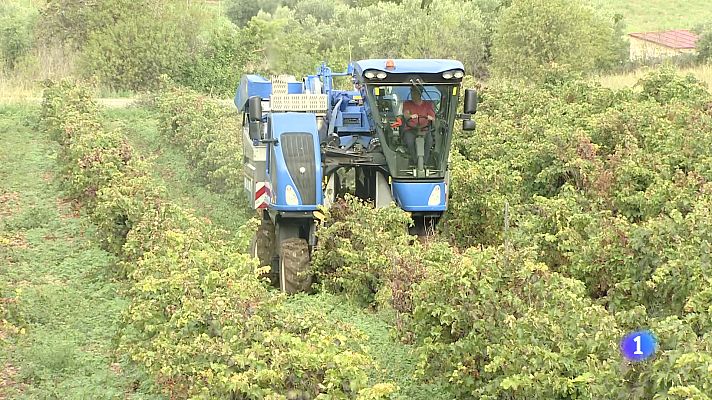 Informativo Telerioja - Informativo Telerioja - 24-09-2024