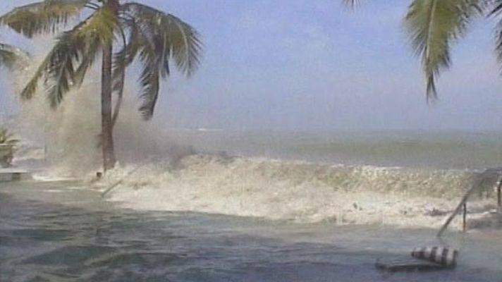 Telediario 1 - 8 años del tsunami en el océano