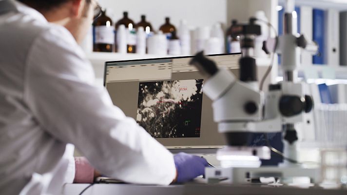 Telediario 1 - Los expertos creen que la IA será un "cambio de paradigma" en la investigación del cáncer