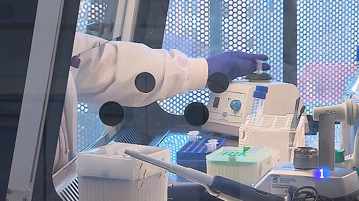 Panorama Regional - Panorama Regional 2 - 24/09/24