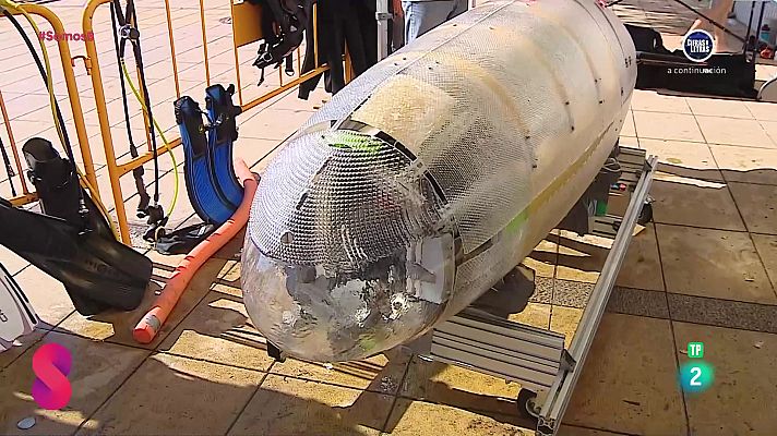 Somos 8 - Somos 8 - 24/09/2024