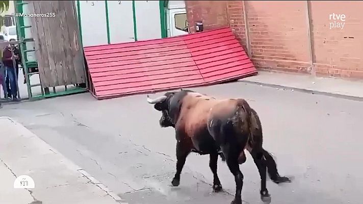 Mañaneros 360 - Programa 255