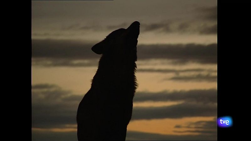 Asturias en 2' -  25/09/24 | Ver