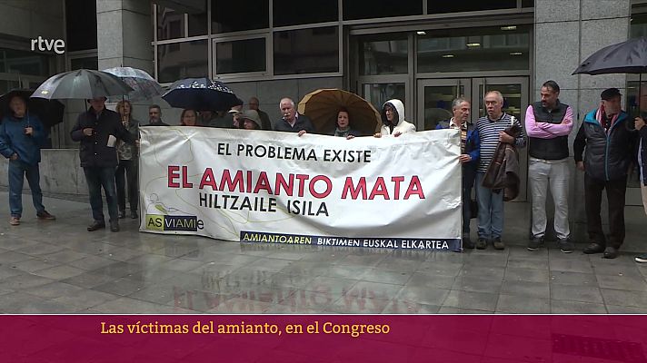 Parlamento - Víctimas del amianto