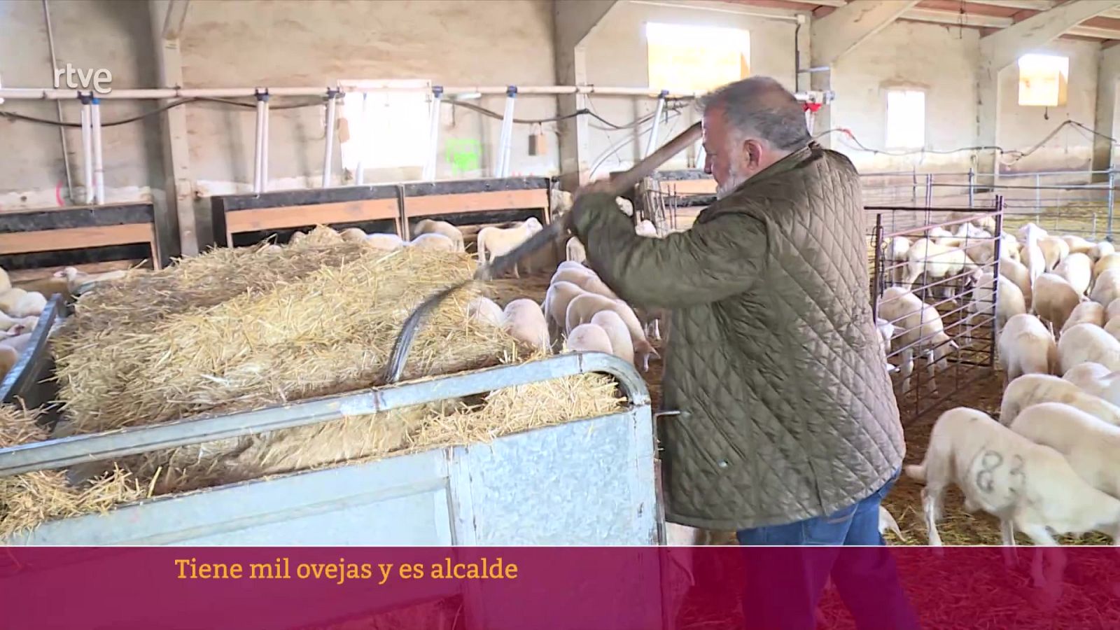 Herminio Sancho | Ver