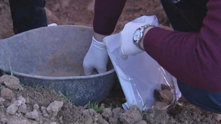 Telediario 1 - Caso de bebes robados