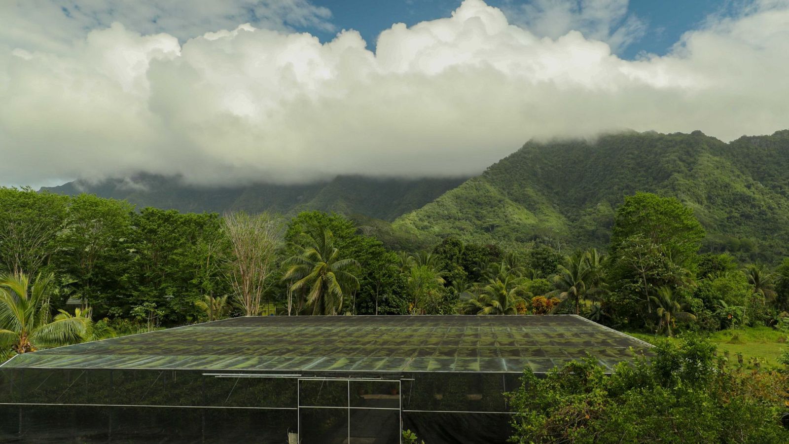 Maestros de los sabores - T1 - Episodio 1: Los maestros de la vainilla - ver ahora