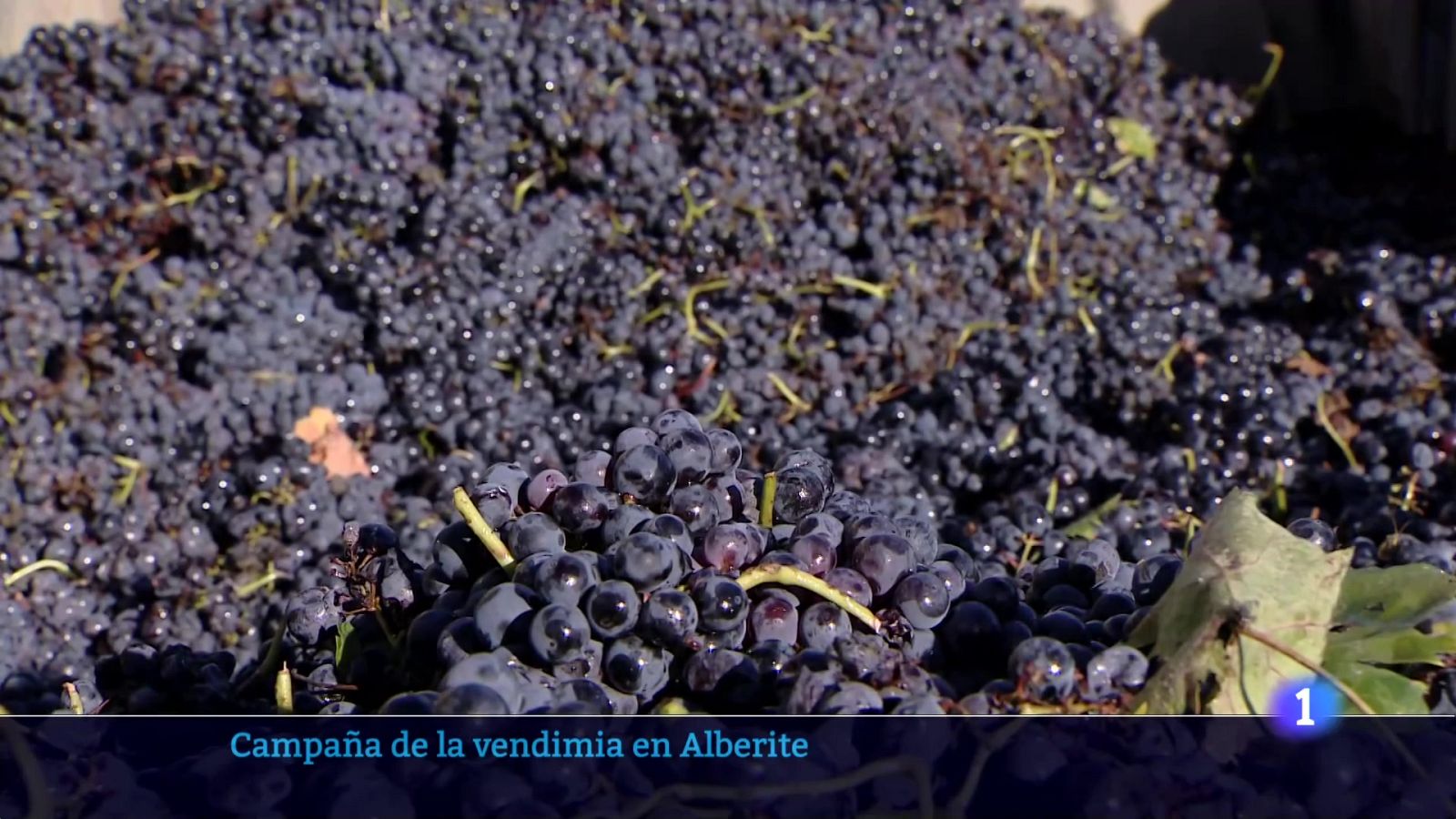 Informativo Telerioja  - 02/10/24 - Ver ahora | Ver