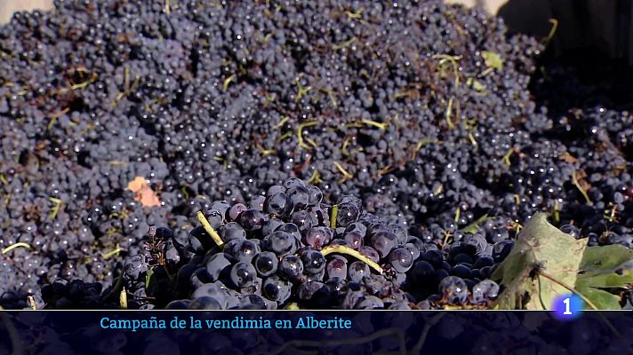 Informativo Telerioja - Informativo Telerioja  - 02/10/24 - Ver ahora