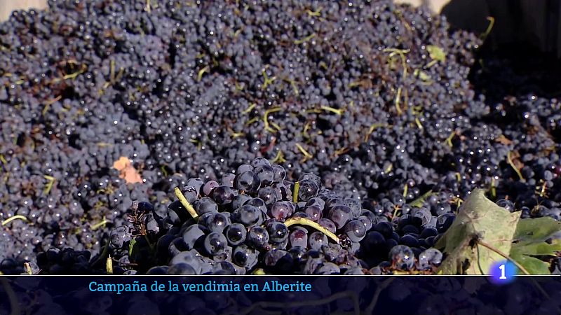 Informativo Telerioja  - 02/10/24 - Ver ahora | Ver