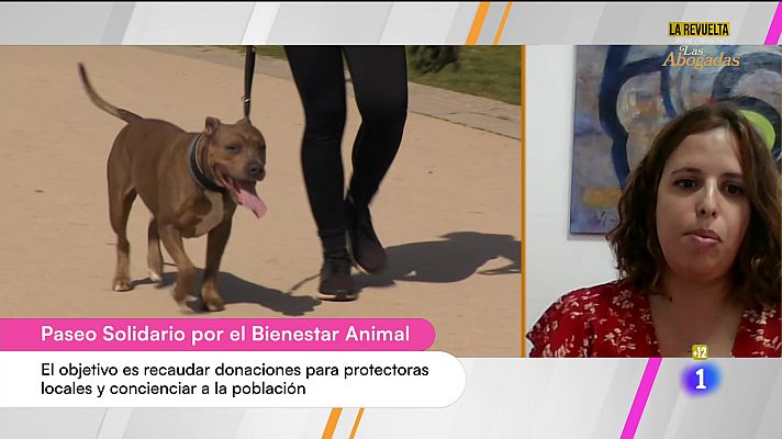 Cerca de ti - Cerca de ti - 02/10/2024