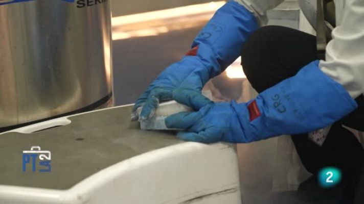 Para todos La 2 - Para Todos La 2 - Investigación biomédica