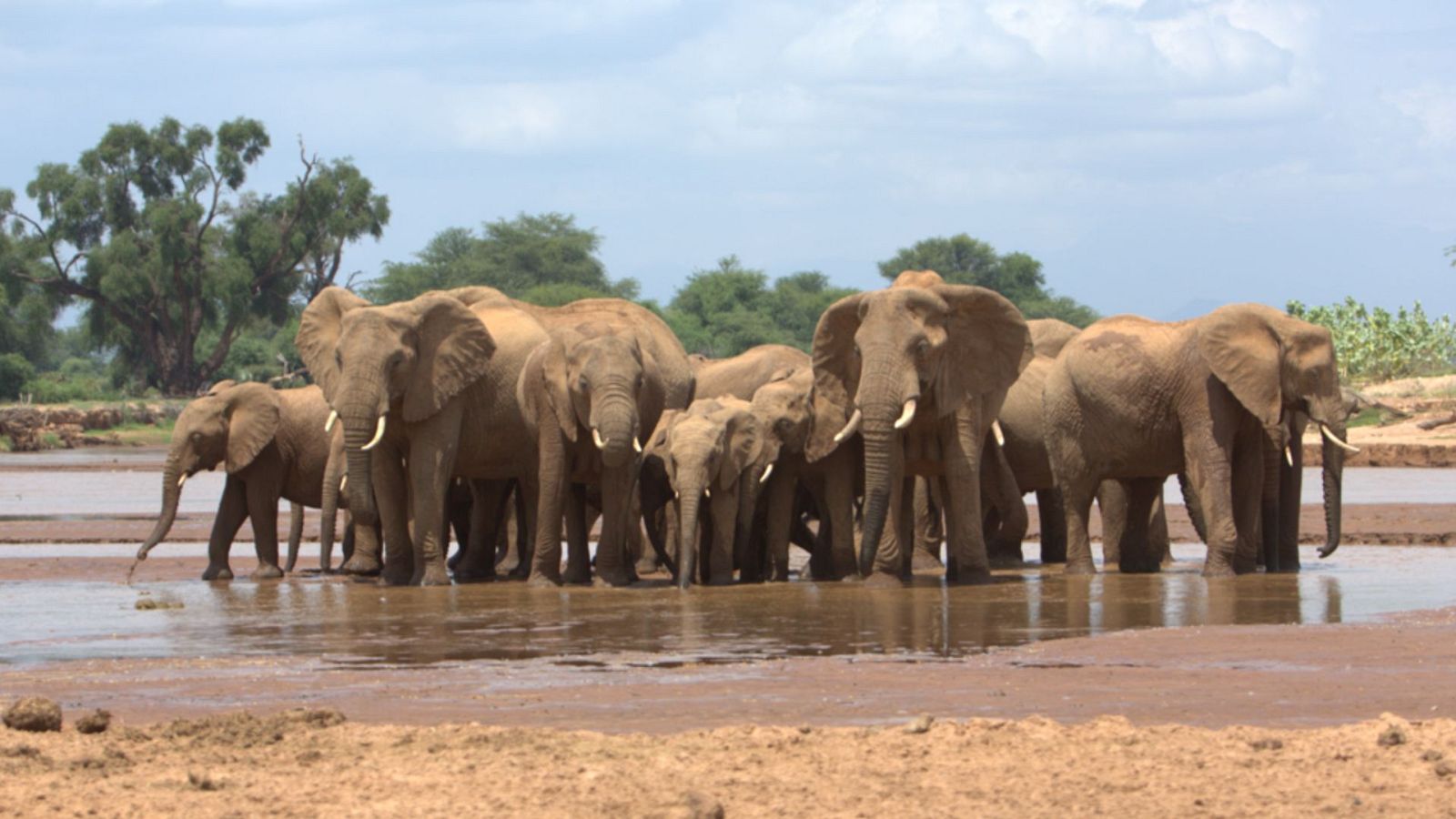 Persiguiendo la lluvia - Episodio 1: El río inconstante - ver ahora