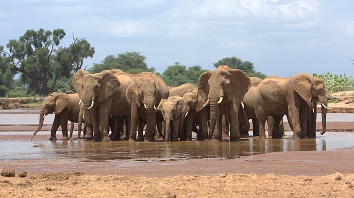 Persiguiendo la lluvia - El río inconstante