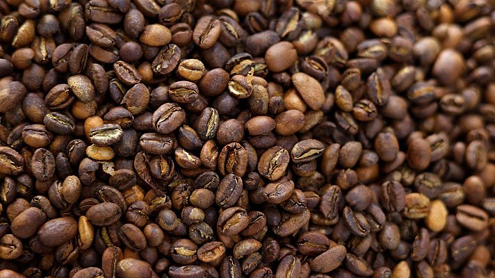 Maestros de los sabores - Los maestros del café