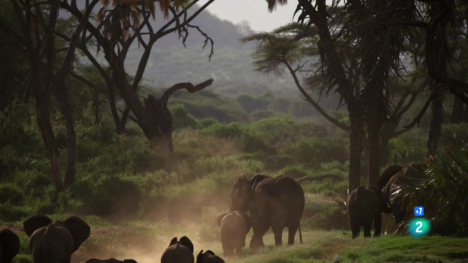 Grans documentals - Perseguint la pluja: El riu inconstant - Veure ara