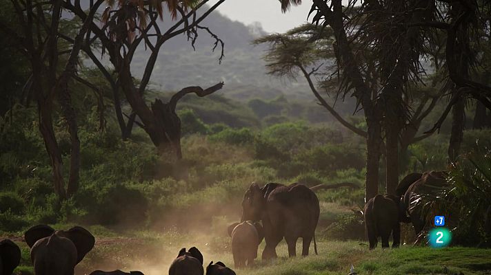 Som Documentals - Perseguint la pluja: El riu inconstant