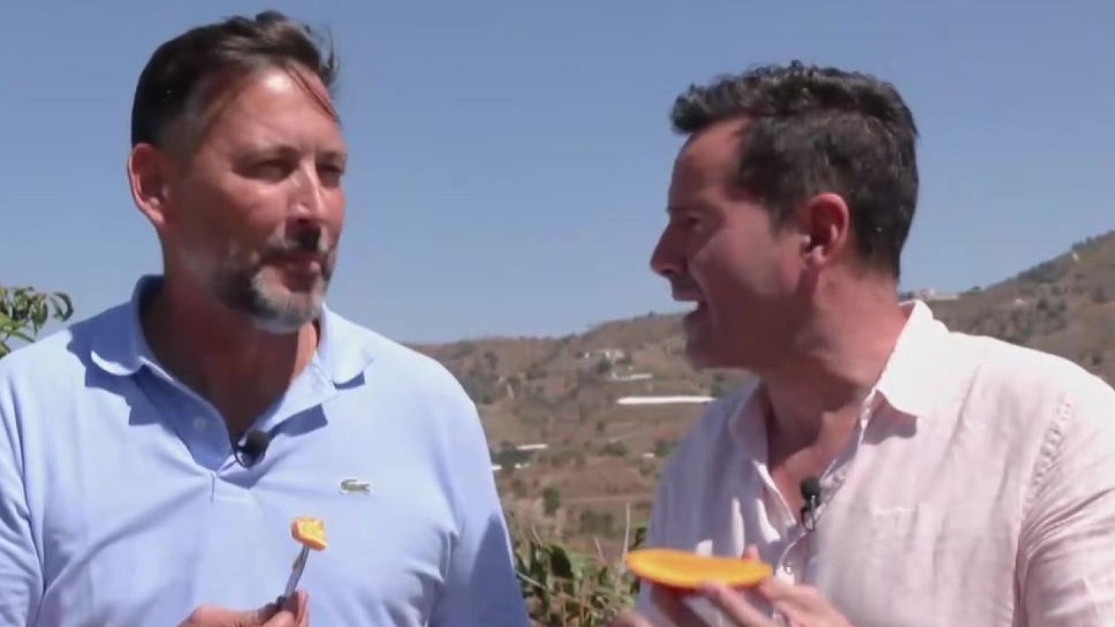 El Mango de la Axarquía | Ver