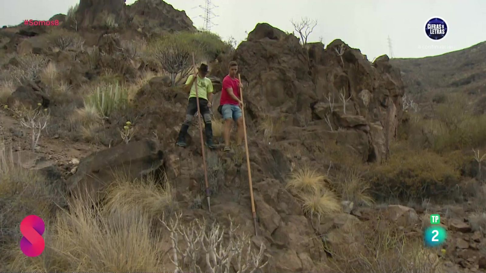 Somos 8 - 03/10/2024 - Somos 8 | Ver