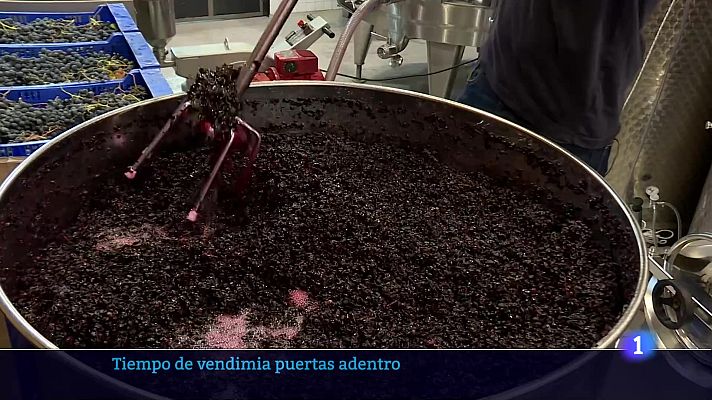 Informativo Telerioja - Informativo Telerioja  - 04/10/24 - Ver ahora