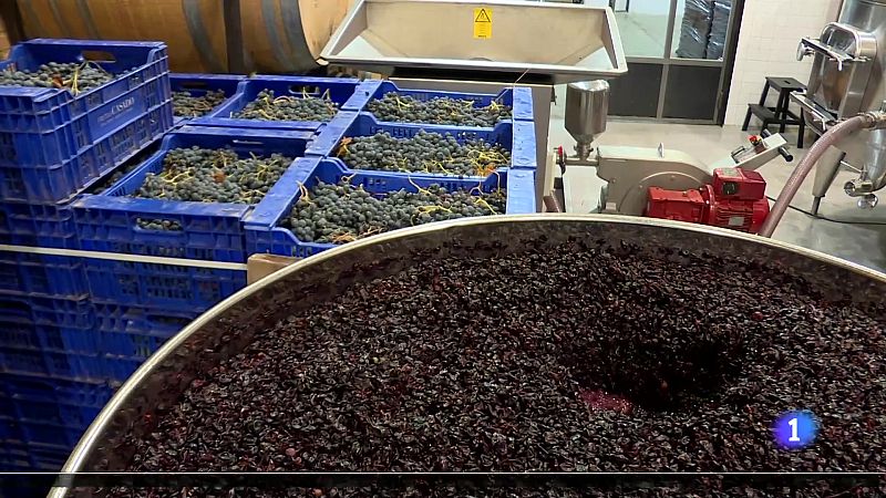 Telerioja en 2' - 04-10-2024 | Ver