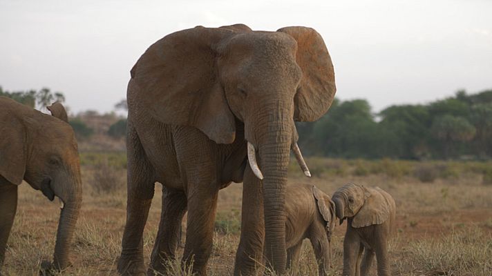 Persiguiendo la lluvia - Rezando para que llueva