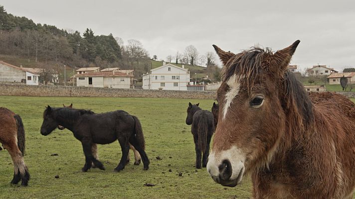 Vuelvo a empezar - Espinosa de los Monteros (Burgos), Malpica (A Coruña) y Fuenteheridos (Huelva)