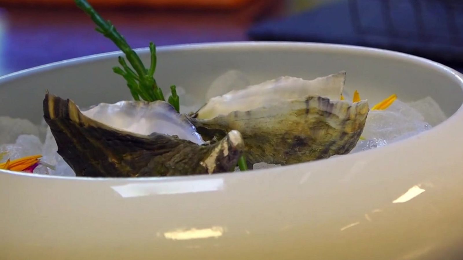 Zoom Tendencias - Master chef impartida por Carlos Portillo - ver ahora